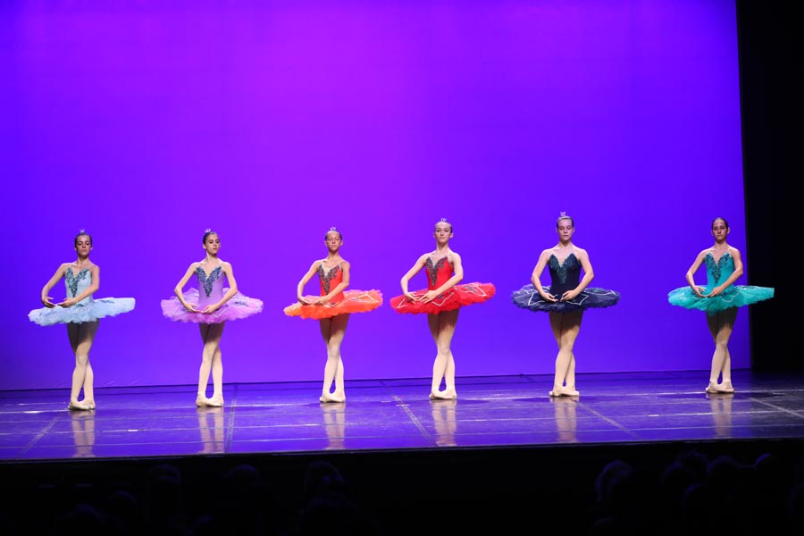 IMG_3925_LOW